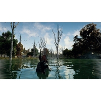 Game PC Battlegrounds (PUBG)