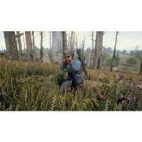 Game PC Battlegrounds (PUBG)